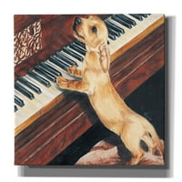 Епични графити Даксунд свири на пиано от Барбара Кийт, платно за стена, 54 х40