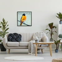 Ступел индустрии подробни Ориол птица Портрет кацнала дива природа животински графично изкуство черна рамка изкуство печат стена изкуство, дизайн от Алпенлоу семинар